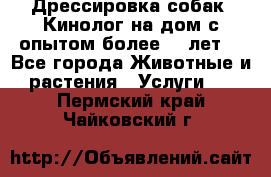 Дрессировка собак (Кинолог на дом с опытом более 10 лет) - Все города Животные и растения » Услуги   . Пермский край,Чайковский г.